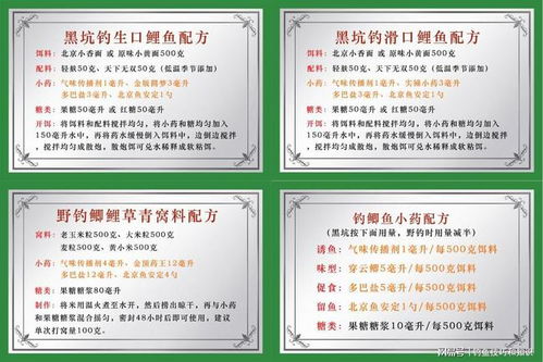 阿桑钓鱼饵料使用视频指南，如何提升你的钓鱼技巧