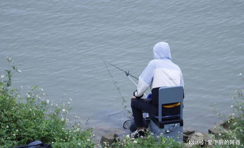 望花湖钓鱼饵料怎么样，全面评测与钓鱼爱好者推荐