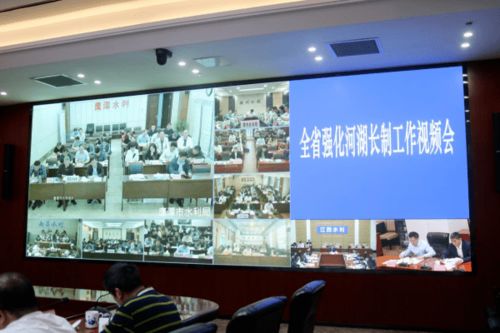 苏源钓鱼饵料使用全攻略，视频拍摄与制作秘籍