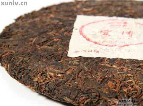 钓鱼饵料方饼怎么做的好，从原料到使用的完整指南