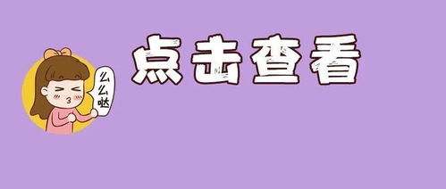 小蜜蜂钓鱼饵料怎么样，全面评测与使用指南