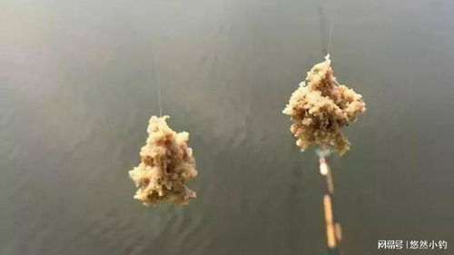 揭秘！网红黑坑钓鱼饵料制作全攻略，从零开始打造爆护饵料，鱼儿疯狂咬钩！
