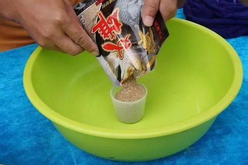 带排气阀的钓鱼饵料怎么用，揭秘气泡克星的实战应用指南