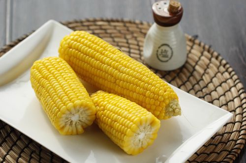 五元素钓鱼饵料怎么样？天然配方的钓鱼新选择