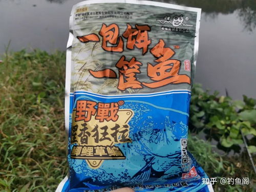 神福岗钓鱼饵料怎么样？深度评测与实战体验
