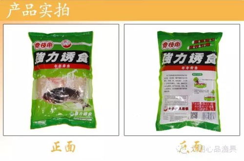 天然气钓鱼饵料的使用方法，从入门到精通