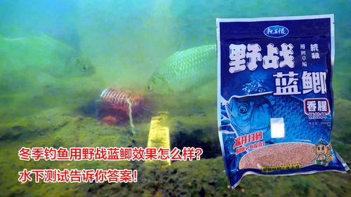 至尊钓鱼饵料怎么样？深度评测告诉你答案！