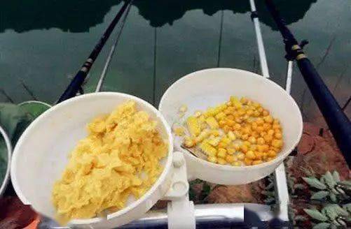 自己动手做钓鱼饵料玉米，简单易学的自制教程