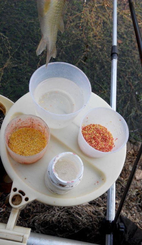 小手巧做鱼儿饭—儿童趣味钓鱼饵料DIY