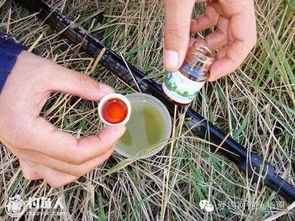 大师兄钓鱼饵料怎么样？深度评测与使用心得