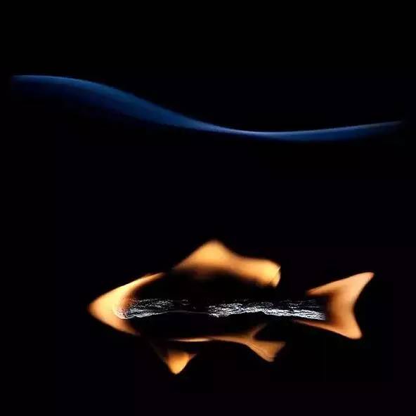 Mastering the Art of七星漂 Fishing:How to Adjust the Shield for Optimal Performance
