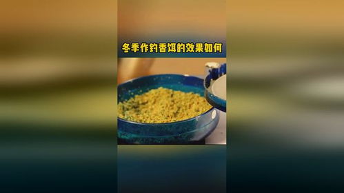 冬日狂想曲，冬日钓鱼饵料的获取指南