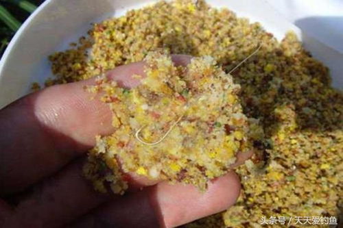 钓鱼饵料怎么粘得紧一点？五个实用技巧让你提高上钩率