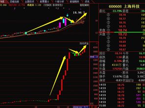 高仓位持股！主观策略强势回归，看好机构性机会