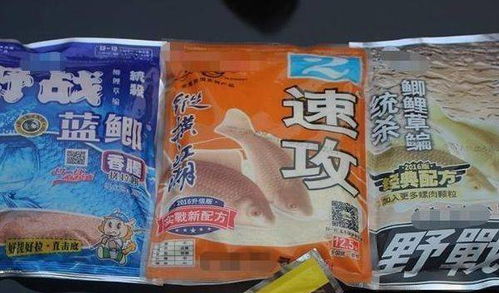 钓鱼高手的秘密武器，如何精准选择适合的饵料