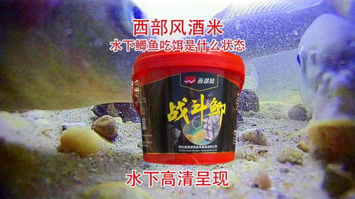 王多鱼钓鱼饵料评测，效果如何？值得购买吗？