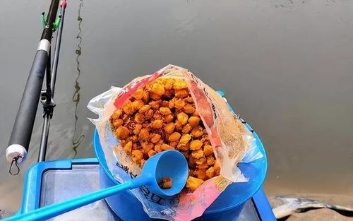 黑坑珠珠饵料，实战钓鱼的秘密武器
