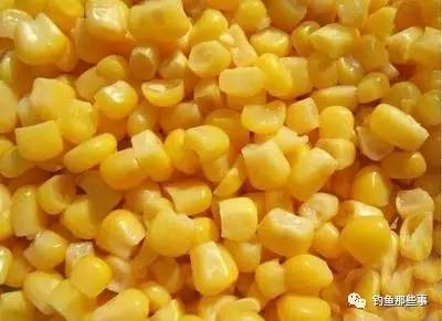 用玉米面自制钓鱼饵料的详细教程