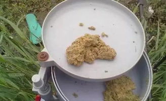 钓鱼饵料好不好吃怎么看