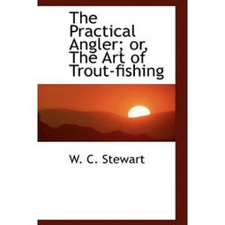 Mastering the Art of Fishing:A Technique to Describe the Expert Anglers Craft
