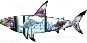 Mastering the Art of Fishing:Tips and Tricks in the打工生活模拟器
