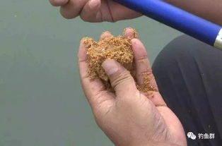 钓鱼摸鱼饵料手很臭怎么办？这些方法帮你轻松解决！