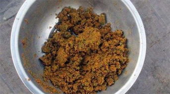 十多度钓鱼饵料怎么配好？这5款配方太实用了！