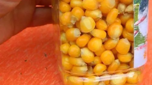 鱼油钓鱼饵料，钓鱼高手的秘密武器！