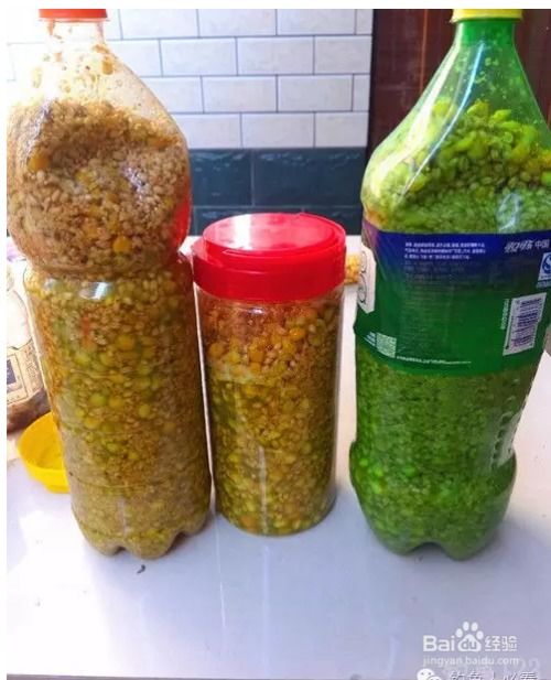 瓶里装钓鱼饵料的妙用，提升垂钓体验的实用指南