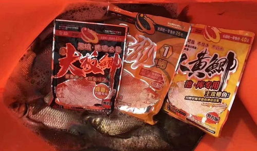 钓鱼饵料开太干怎么办？5种实用解决方案