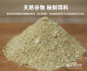 半夜钓鱼饵料怎么配好一点