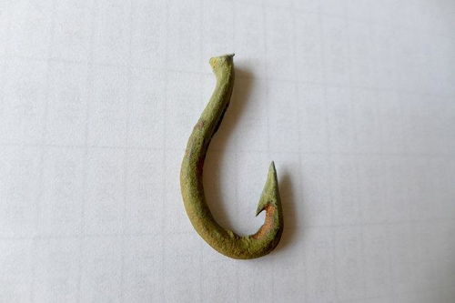 鱼钩下的秘密武器，鸡血做钓鱼饵料行吗？怎么做？