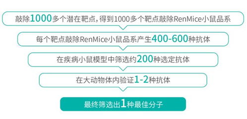 百奥赛图：双业务线构建“价值金字塔”，中国创新药BD潮中的潜在赢家