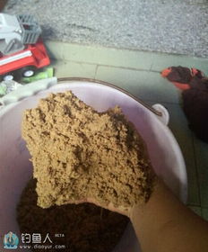 油壶巧变钓鱼神器，自制网具与饵料全攻略