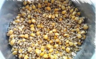 牛源深藏，打造高效钓鱼饵料的秘方