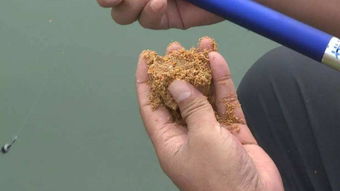 专业钓手必学，堰塘钓鱼饵料秘制大全