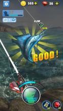 Mastering Summer Fishing:How to Read the Bait Bobber Like a Pro