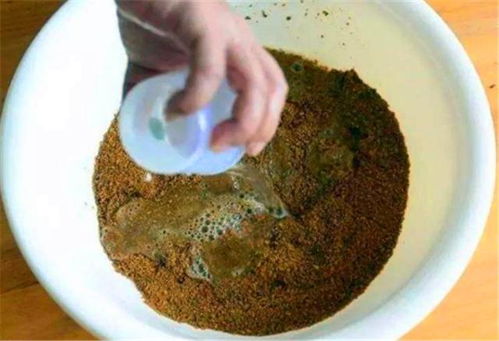 钓鱼饵料能揉吗？怎么做的？