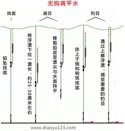 野钓调漂技巧，如何正确调制鱼饵料