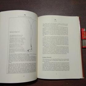 Mastering the Art of Fly Fishing:A Comprehensive Guide with Techniques and Diagrams