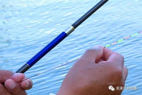 河里钓鱼饵料残留多吗？如何减少对环境的影响
