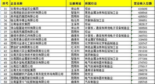 2025云南民企100强榜单发布，立体展现云南民营经济发展新貌