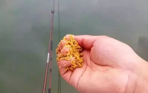 钓鱼饵料巨粘怎么办？5个实用解决方法让你轻松应对！