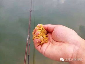 黑洞诱惑，黑坑底窝钓鱼饵料秘制配方与实战技巧