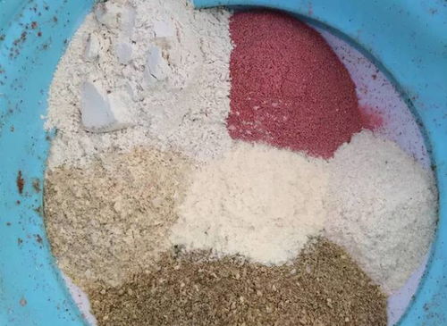 七夕钓鱼饵料怎么配的好？这份秘方让你的鱼儿沦陷