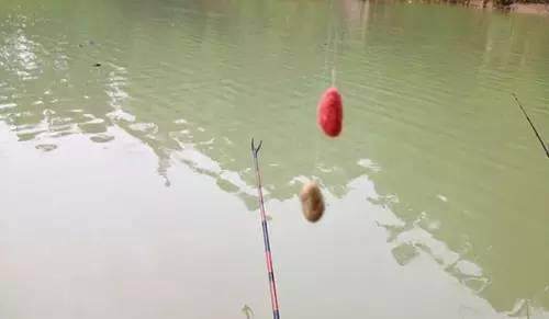 湖湾钓鱼饵料怎么样？实战评测视频告诉你答案！