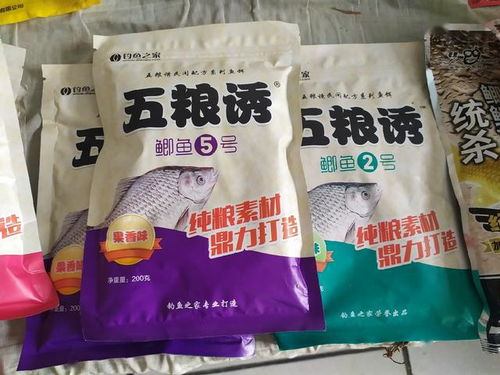 王新钓鱼饵料怎么样好用吗？全面评测与使用心得