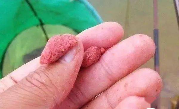 钓鱼饵料怎么用？筱米饵料的正确使用方法，让你的鱼儿疯狂咬钩！