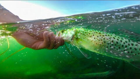 Ancient Fishing Techniques After the Start of Autumn:Wisdom from the Past