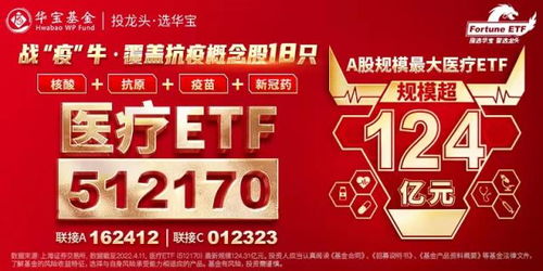 CXO大幅领跌，A股最大医疗ETF（512170）下挫逾3%高频溢价！机构：集采反内卷，医疗龙头有望复苏